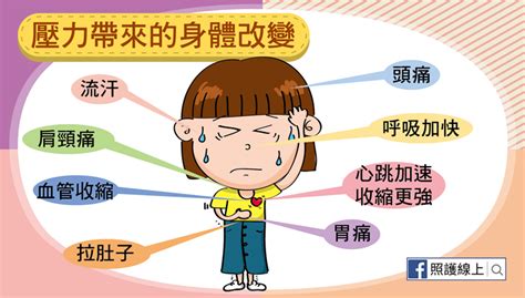 壓力大圖|面對壓力時，我們的身體會如何反應？–《知識大圖解。